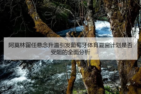阿莫林留任悬念升温引发葡萄牙体育夏窗计划是否受阻的全面分析