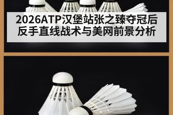 2026ATP汉堡站张之臻夺冠后反手直线战术与美网前景分析